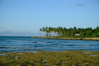 Fotoğraf, Atlantik Okyanusu 'nun arka planına karşı dağlarda gün doğumunu gösteriyor. Güneş dağın arkasında batar ve bulutlarda saklanır. Okyanus suyu yükselen güneşin parıltısını yansıtır..
