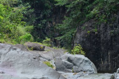 Fotoğraf dağ nehrinin aktığı kayalık bir vadi gösteriyor. Nehir büyük taş blokların arasından akar. Karayip adasının büyüleyici yaban hayatı orjinalliğiyle hayrete düşürüyor. Dağ nehrinin üst manzarası.