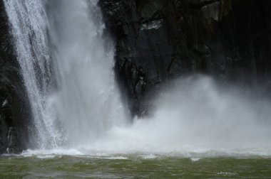 Fotoğraf büyük bir şelale gösteriyor. Altında mükemmel bir su aynası var. Bölge tropik yeşilliklerle dolu. Şelale Dominik Cumhuriyeti 'nde fotoğraflandı..