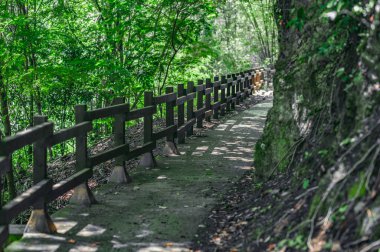 Fotoğraf orman yolunu gösteriyor, ahşap çitlerle çevrili. Yol ormanda bulunuyor. Yürüme izleri asfalttan yapılmıştır. Görüntü sabah Dominik Cumhuriyeti 'nde çekildi. Güneşin parıltısı yolda görülebilir.