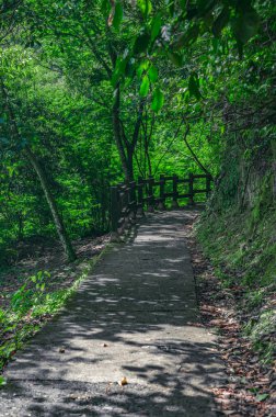 Fotoğraf orman yolunu gösteriyor, ahşap çitlerle çevrili. Yol ormanda bulunuyor. Yürüme izleri asfalttan yapılmıştır. Görüntü sabah Dominik Cumhuriyeti 'nde çekildi. Güneşin parıltısı yolda görülebilir.
