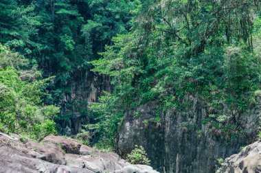 Görüntü dağların tepesinde bir kaya oluşumunu gösteriyor. Fotoğraf, bitkilerin kayalarda nasıl yetiştiğini gösteriyor. Büyük taşları olan doğal park, ormanın bir kısmı ve tropik bitkiler..