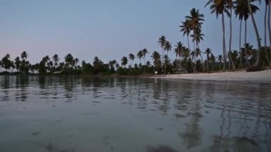 4K video görüntüleri Atlantik Okyanusu 'nun tropikal sahillerinde geçiyor. Egzotik kıyı güneşi. Palmiyeler orman ve beyaz kum