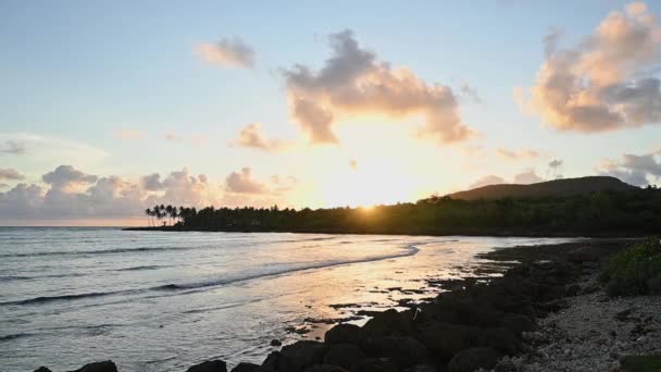 Video Visar Som Tropiska Stranden Carbbean Havet Exotiskt Hav Faller — Stockvideo