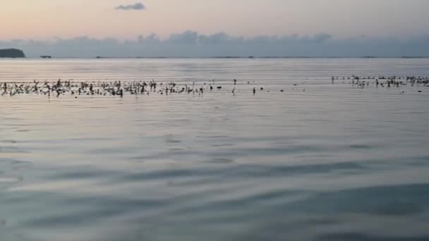 Video Ukazuje Západ Slunce Horách Pozadí Atlantského Oceánu Slunce Zapadá — Stock video