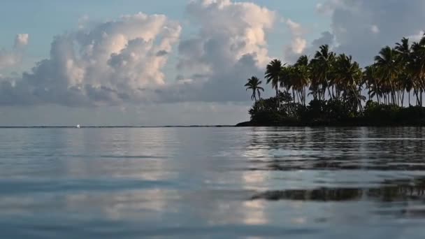 Vídeo Mostra Ambientado Praia Tropical Oceano Atlântico Sol Exótico Beira — Vídeo de Stock