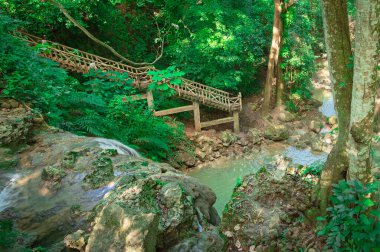 Weald 'daki büyük kayaların arasındaki dağ rünü. Tropikal bitkiler ve taze otlarla dolu dağ tepecikleri. Nehir taşlarının farklı boyutlara ve renklere sahip olduğu egzotik ormanlarda vahşi yaşam..
