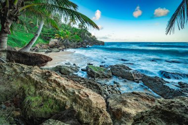 Karayip Denizi 'nin egzotik kayalık plajı manzaralı. Okyanusun dalgaları vardır. Yeşil bitkileri ve mavi okyanusları olan tropikal bir sahil. Bulutlu gök mavisi. Turistik bölge rahatlamak için mükemmel..