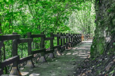 Fotoğraf orman yolunu gösteriyor, ahşap çitlerle çevrili. Yol ormanda bulunuyor. Yürüme izleri asfalttan yapılmıştır. Görüntü sabah Dominik Cumhuriyeti 'nde çekildi. Güneşin parıltısı yolda görülebilir.