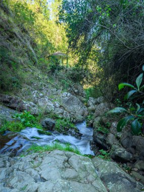 Fotoğraf dağ nehrinin aktığı kayalık bir vadi gösteriyor. Nehir büyük taş blokların arasından akar. Karayip adasının büyüleyici yaban hayatı orjinalliğiyle hayrete düşürüyor. Dağ nehrinin üst manzarası.