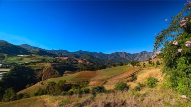 Dağlık arazilerin tarım için kullanılması. Dominik Cumhuriyeti 'ndeki güzel dağlar. Popüler turizm merkezi. Constanza agronomy tepeleri.