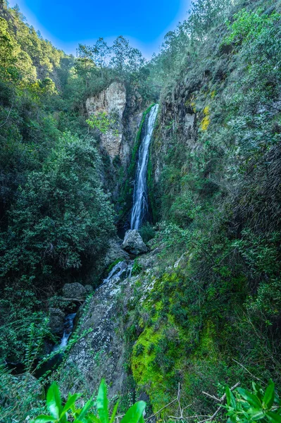 黄石公园的巨大岩石之间的山岭 沼泽中的山地磷虾 有热带植物和新鲜草本植物 异国情调野林中的野生生物 有不同大小和颜色的河石 — 图库照片