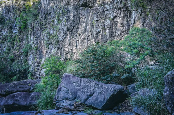 Скелястий Пейзаж Тропічних Джунглях Домініканської Республіки Задній План Стіні Широкий — стокове фото