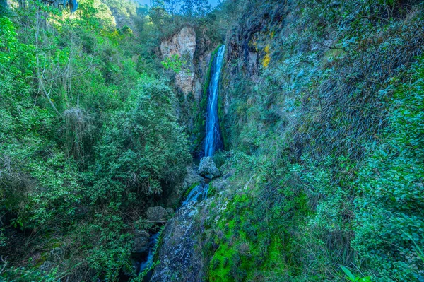 Weald Daki Büyük Kayaların Arasındaki Dağ Rünü Tropikal Bitkiler Taze — Stok fotoğraf