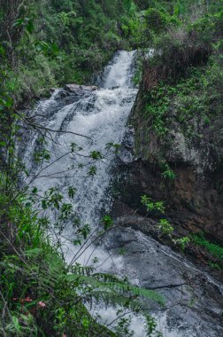 Fotoğraf dağ nehrinin aktığı kayalık bir vadi gösteriyor. Nehir büyük taş blokların arasından akar. Karayip adasının büyüleyici yaban hayatı orjinalliğiyle hayrete düşürüyor. Dağ nehrinin üst manzarası.
