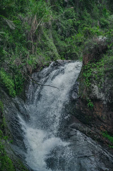 写真は山の川が流れる岩場の峡谷 川は巨大な石の塊を流れる カリブ海の島の野生動物を魅了するその信頼性で素晴らしいです 山川の絶景 — ストック写真