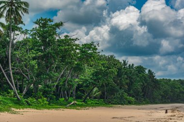 Dominik Cumhuriyeti 'nin ön planında kumlu bir plajın fotoğrafı. Bu resim Atlantik Okyanusu 'ndan gelen muhteşem kumları ve parlak mavi gökyüzünü açıkça gösteriyor, bir ufuk çizgisi oluşturuyor..