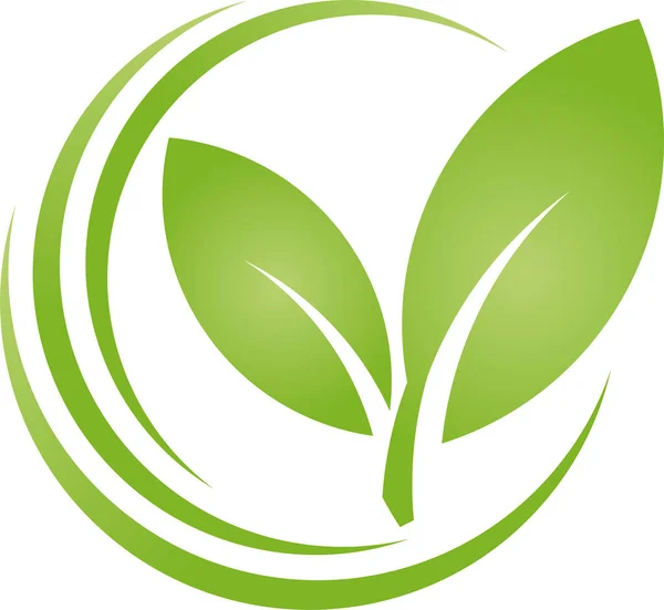 Bladeren Planten Handen Tuinman Natuur Natuurlogo Icoon — Stockvector