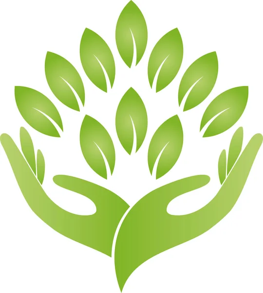 Folhas Plantas Mãos Jardineiro Naturopata Logotipo Natureza Ícone — Vetor de Stock