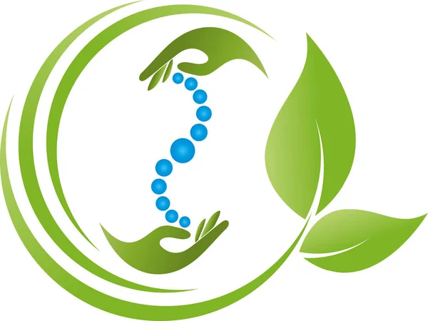 Orthopédie Physiothérapie Massage Logo Chiropraticien — Image vectorielle