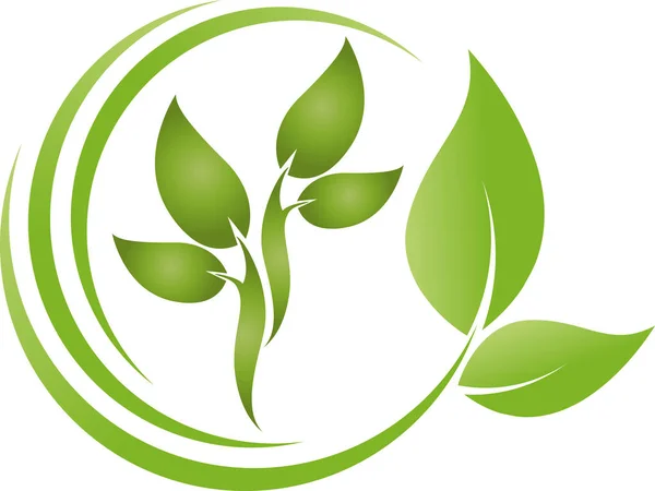 Foglie Piante Giardiniere Benessere Naturopata Logo — Vettoriale Stock