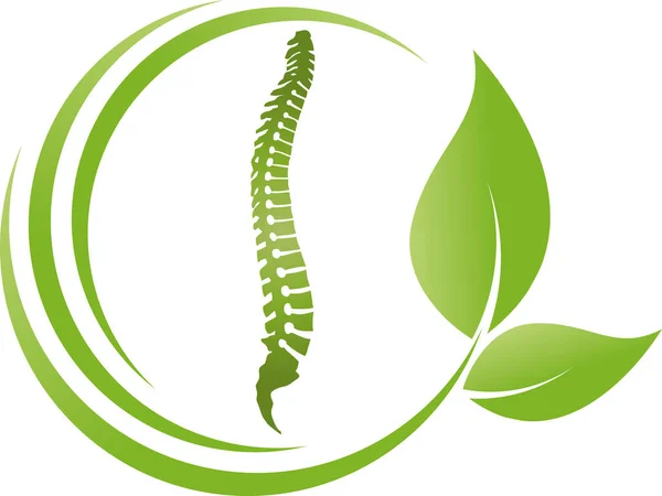 Orthopedisch Fysiotherapie Massage Chiropractor Logo — Stockvector