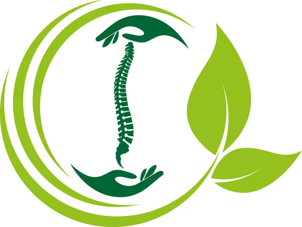 Ortopédica Fisioterapia Massagem Logotipo Quiroprático —  Vetores de Stock