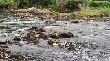 Leenane, County Galway, İrlanda - 18 Eylül 2021: Connemara Ulusal Parkı 'ndaki Vahşi Atlantik Yolu boyunca Erriff Nehri' ndeki Aasleagh Şelaleleri 'nin Genel Görünümü