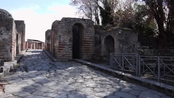 Pompeii Campania Talya Ekim 2021 Pompeii Arkeoloji Parkı Ndaki Porta — Stok video