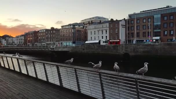 Dublin Irland September 2021 Översikt Över Floden Liffey Från Ormond — Stockvideo