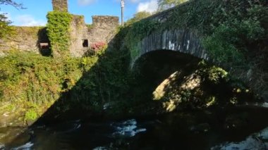 Carriganass, County Cork, İrlanda - 18 Eylül 2021: Ouvane Nehri 'ndeki Carriganass Kalesi' nin kalıntıları
