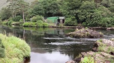 Leenane, County Galway, İrlanda - 18 Eylül 2021: Connemara Ulusal Parkı 'ndaki Vahşi Atlantik Yolu boyunca Erriff Nehri' ndeki Aasleagh Şelaleleri 'nin Genel Görünümü