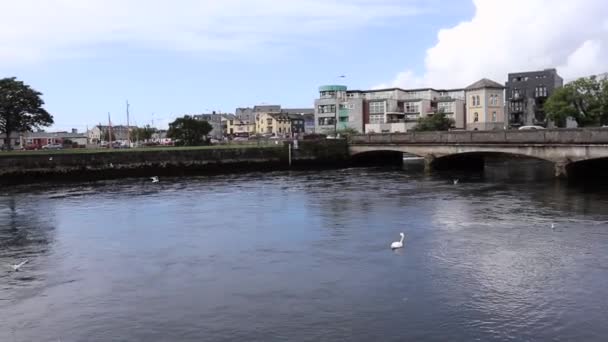 Galway Ierland September 2021 Overzicht Van Monding Van Rivier Corrib — Stockvideo
