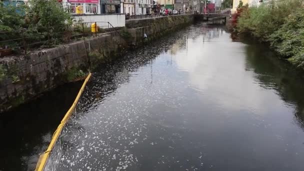 Galway Irlandia Września 2021 Przegląd Zanieczyszczonych Wód Kanału Eglinton Mostu — Wideo stockowe