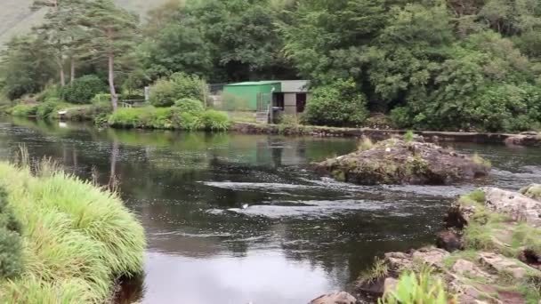 Leenane County Galway Irlandia Września 2021 Przegląd Wodospadów Aasleagh Nad — Wideo stockowe