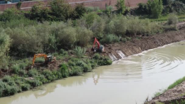 2021年9月24日 意大利坎帕尼亚 贝内文托 加速用挖掘机清理卡洛雷河左岸植被的影片 — 图库视频影像