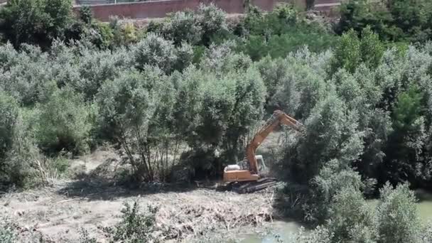 Benevento Campania Italy Ιουλίου 2021 Καθαρισμός Των Αναχωμάτων Του Ποταμού — Αρχείο Βίντεο