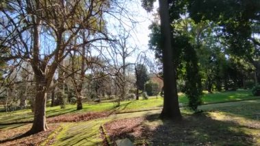 Napoli, Campania, İtalya - 19 Ocak 2022: Napoli Botanik Bahçesi veya Real Orto Botanico, 1807 'de Via Foria' daki Real Albergo dei Poveri 'nin yanına inşa edildi.