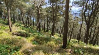 Sahip Lubrense, Campania, İtalya - 20 Mart 2022: San Costanzo Kilisesi 'nden Punta Campanella' ya inen yürüyüşçüler