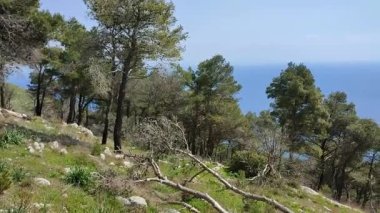 Sahip Lubrense, Campania, İtalya - 20 Mart 2022 Punta Campanella 'dan San Costanzo' daki inzivaya kadar uzanan ormanlık yola dikkatle bakın.