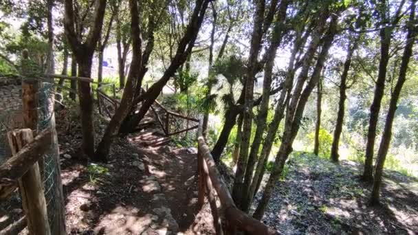 カプリ カンパニア イタリア 2022年3月13日 ヴィラ ジョヴィスとヴィラ ルシスの間の森林道の概要 — ストック動画