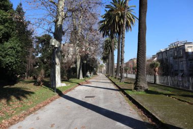 Napoli, Campania, İtalya - 19 Ocak 2022: 19. yüzyıl Kanarya Adaları Palmiyeleri Via Foria 'ya bakan Real Orto Botanico di Napoli