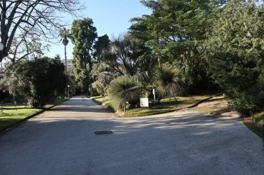 Napoli, Campania, İtalya - 19 Ocak 2022: 19. yüzyıl Real Orto Botanico di Napoli Yolu