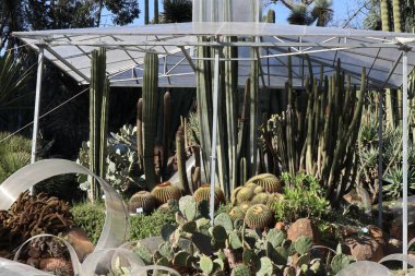 Napoli, Campania, İtalya - 19 Ocak 2022: 19. yüzyıl Real Orto Botanico di Napoli