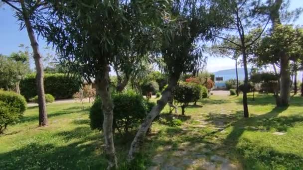 Ischia Campanie Italie Mai 2022 Vue Ensemble Des Petits Jardins — Video