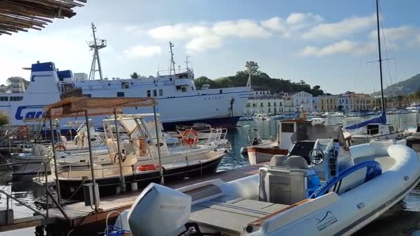 Ischia Campania Italy May 2022 Caremar Ferry Entering Port Early — Stock Video