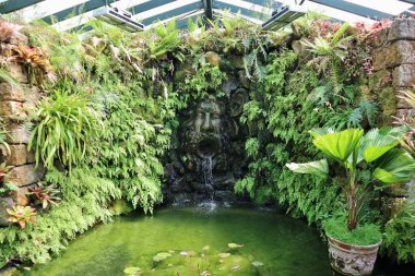 Forio, Campania, İtalya - 14 Mayıs 2022: Giardini La Mortella 'daki Victoria House tropik serasının içi