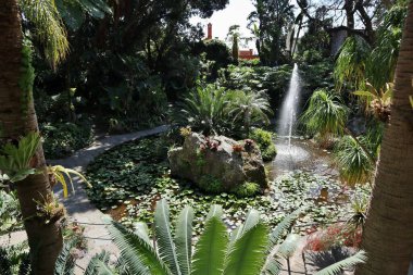 Forio, Campania, İtalya - 14 Mayıs 2022 La Mortella Gardens Çeşmesi