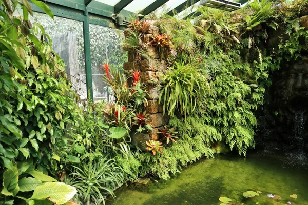 Forio, Campania, İtalya - 14 Mayıs 2022: Giardini La Mortella 'daki Victoria House tropik serasının içi