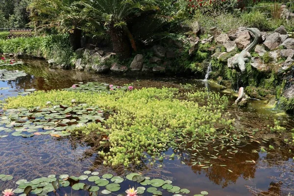 Forio Kampanien Italien Maj 2022 Krokodilvattenfall Vid Mortella Gardens — Stockfoto